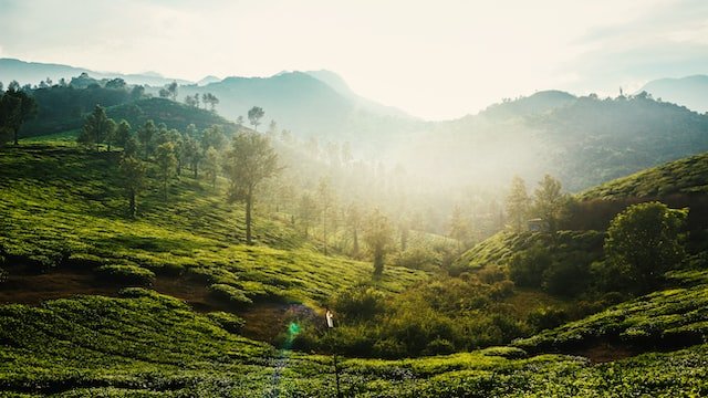 Top Tourist Attractions in Wayanad District | Travel and Hotels